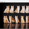 Twelve Cats in Different Sitting and Standing Poses on Black Background with Reflections