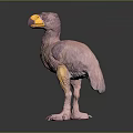3D Vibrant Bird Character Model With Pink Yellow Plumage And Long Legs
