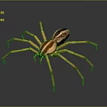 Yellow Striped Spider With Long Legs And Detailed Body On Dark Background