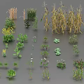 Various Agricultural Crops 3D Models Showing Different Growth Stages And Plant Varieties