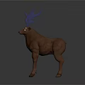 Brown Deer With Large White Antlers Standing On Dark Background