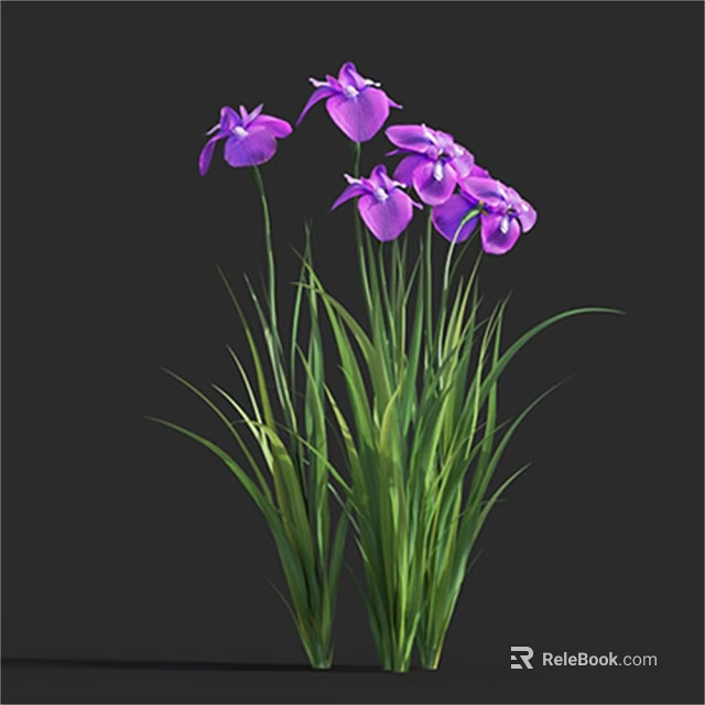 Vibrant Purple Flowers And Lush Green Grass Growing Together In Natural Outdoor Garden 3d model 