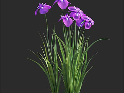 Vibrant Purple Flowers And Lush Green Grass Growing Together In Natural Outdoor Garden 3d model