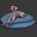 White Dog Lying On Blue Round Cushion With Decorative Trim
