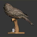Realistic Bird Head Sculpture Mounted on Wooden Base With Stone or Crystal Decorations