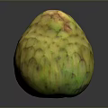 Fresh Custard Apple With Green Yellow Textured Skin And Exotic Look