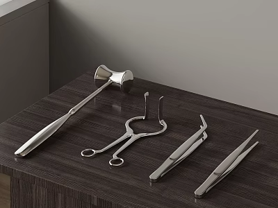 Stainless Steel Medical Instruments Precision Surgical Tools Various Types on Wooden Table 3d model