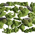 Modern micro-terrain moss stone shrub courtyard landscape landscape landscaping 3d model