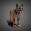 3D Modeled Puma With Brown Fur In Standing Pose On Gray Background
