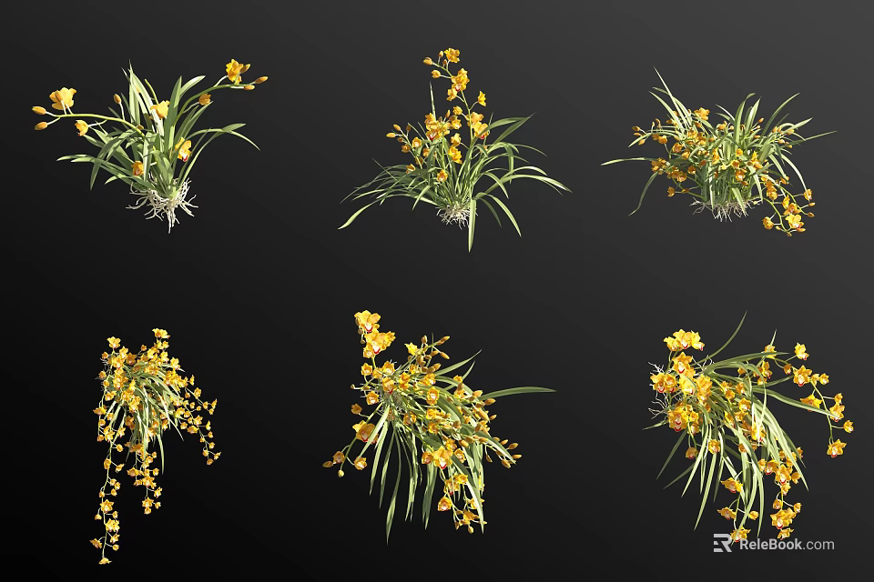 Vibrant Yellow Flowering Plants With Green Leaves And Lush Blooms 3d model 
