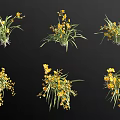 Vibrant Yellow Flowering Plants With Green Leaves And Lush Blooms