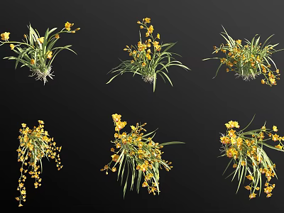 Vibrant Yellow Flowering Plants With Green Leaves And Lush Blooms 3d model