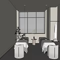 Elegant Modern Minimalist SPA Sauna Interior With Two Massage Tables White Curtains And Green Plants