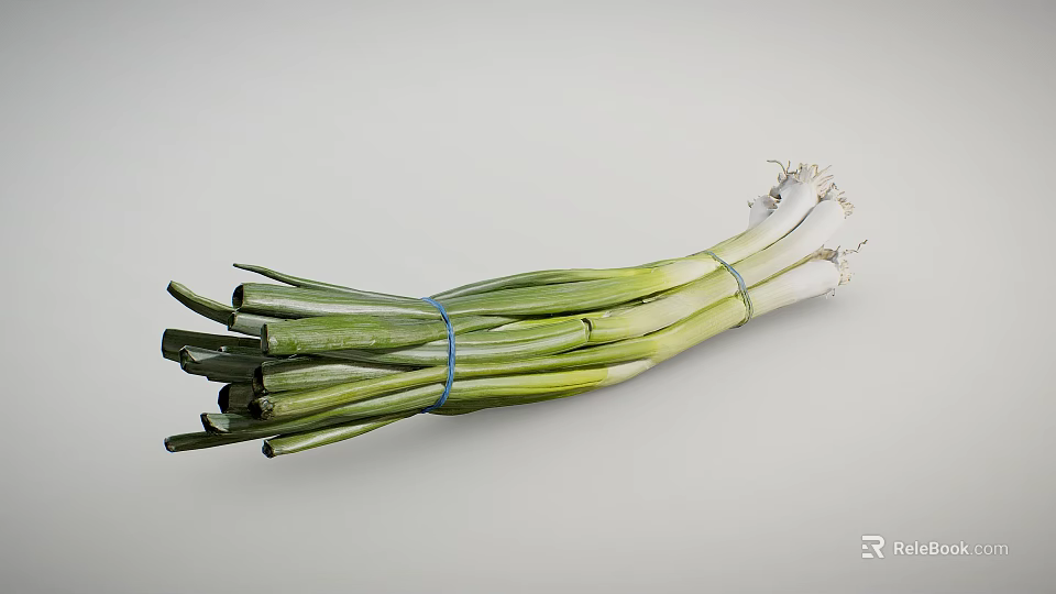 Fresh Green Onions Bunch With Vibrant Green And White Stalks On White Background 3d model 