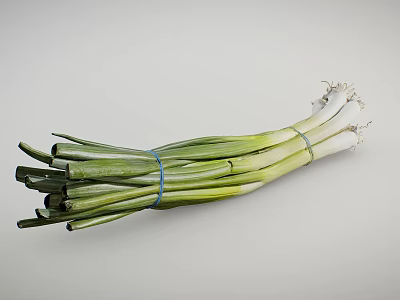 Fresh Green Onions Bunch With Vibrant Green And White Stalks On White Background 3d model