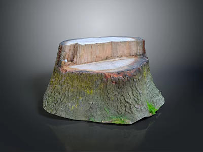 Natural Wooden Tree Stump With Rough Bark Texture And Smooth Top Surface 3d model