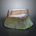 Natural Wooden Tree Stump With Rough Bark Texture And Smooth Top Surface 3d model