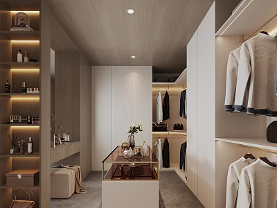Modern Walk In Closet Interior With Storage Cabinets And Display Area 3d model