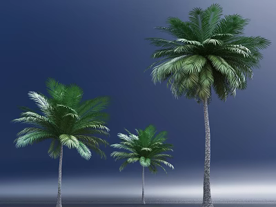 Three Tall Palm Trees Standing On Gray Ground Against Deep Blue Sky 3d model