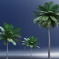 Three Tall Palm Trees Standing On Gray Ground Against Deep Blue Sky