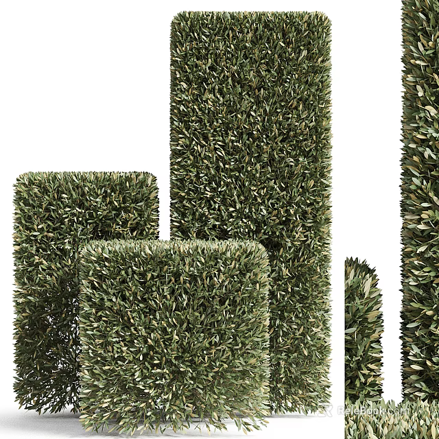 Greenery Walls In Various Shapes And Sizes 3d model 