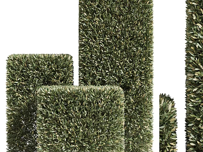 Greenery Walls In Various Shapes And Sizes 3d model