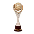 Golden Football Trophy With Silver Stand And Wooden Base Design