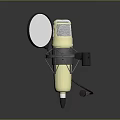 Professional Golden Microphone Setup With Pop Filter Shock Mount And Stand 3d model