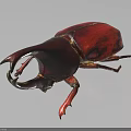 Red Flying Beetle With Large Curved Horn Oval Body And Red Legs Macro View