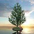 Tall Pine Tree On Water Surface With Person Sitting Under Sunset Sky And Reflection