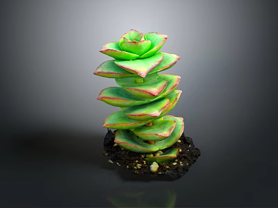 Succulent Plant With Stacked Green Leaves Red Edges In Black Pot Against Dark Background 3d model