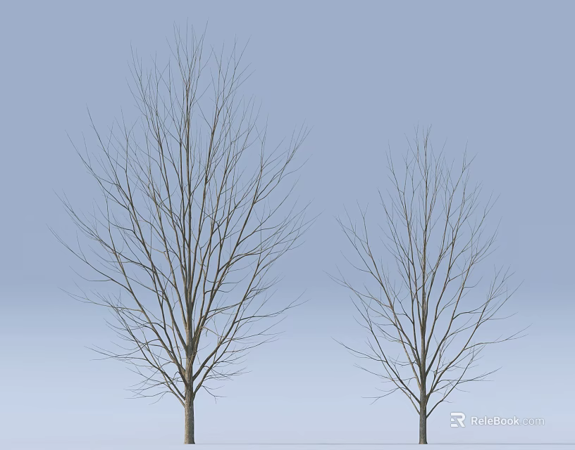 Two Leafless Trees With Bare Branches Standing Against Light Blue Background 3d model 