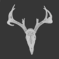 Realistic Deer Skull With Large Antlers On Dark Background Display Artifact