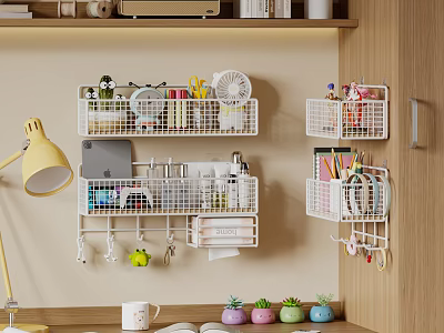 Practical Wall Mounted Storage Organizer With Daily Essentials For Home Organizing 3d model