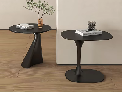 Modern Black Side Tables With Curved Base Round Top And Decorative Plants Books 3d model