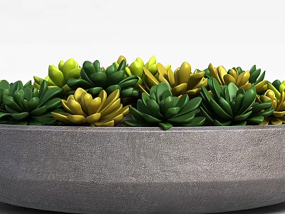 Tech Exhibition Hall Displaying Green and Yellow Succulent Plants in Gray Large Planter 3d model