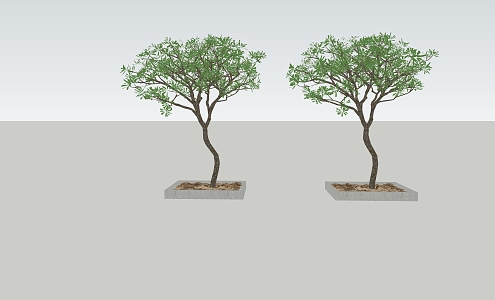 Modern Tree Landscape Tree 3d model