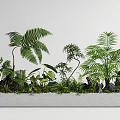 Lush Bonsai Potted Plants in Long Rectangular White Pot with Ferns Palms and Stone Decorations