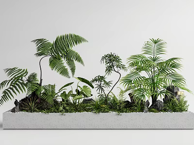 Lush Bonsai Potted Plants in Long Rectangular White Pot with Ferns Palms and Stone Decorations 3d model