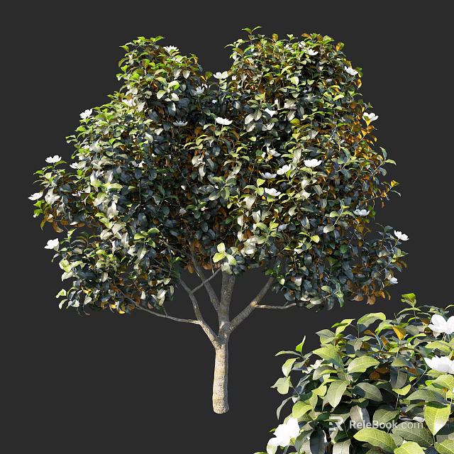 Lush Arbor With Green Leaves And White Flowers In Elegant Natural Shape 3d model 