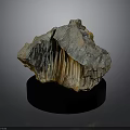 Unique Wooden Stone Featuring Natural Layered Texture On Black Display Base