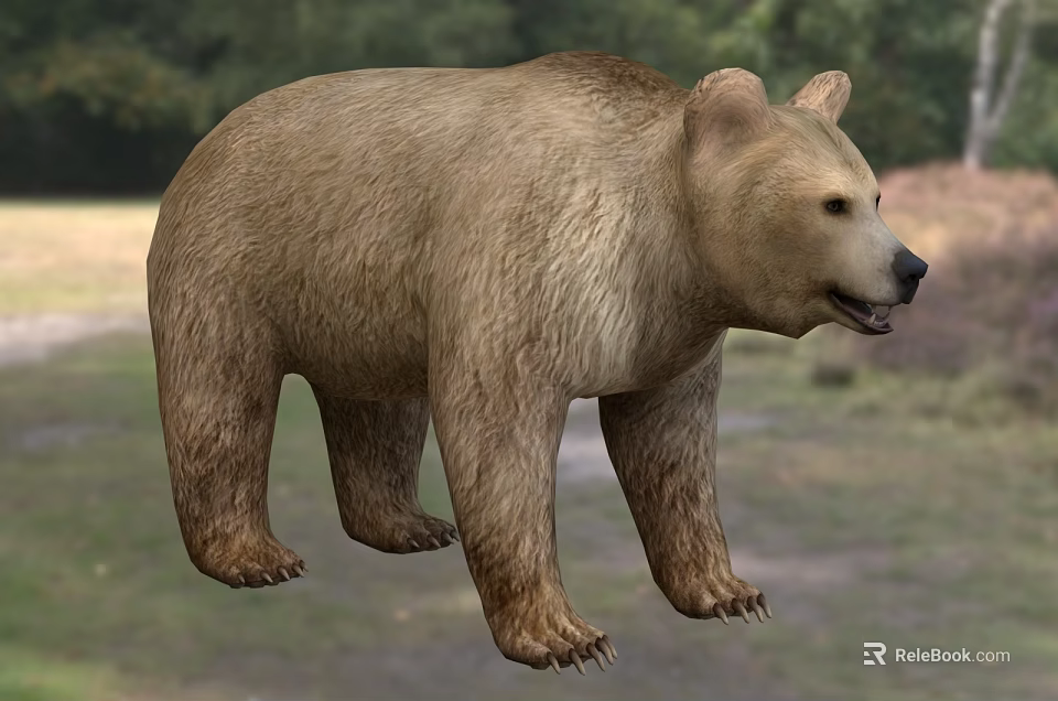 Reptile Lizard Basking On Warm Rock In Natural Outdoor Habitat 3d model 