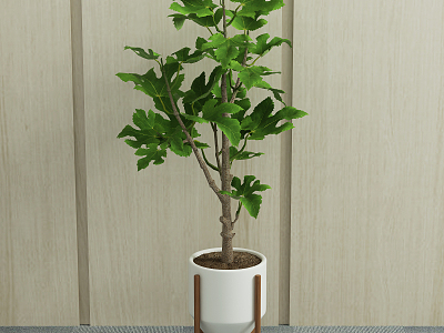 Modern potted green plant model