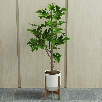 Modern potted green plant 3d model