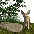 Wild Reptile Lizard Standing On Stone Near Green Tree In Open Grassland