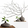 Three Textured Ceramic Vases With Green Branches And Small Leaves 3d model
