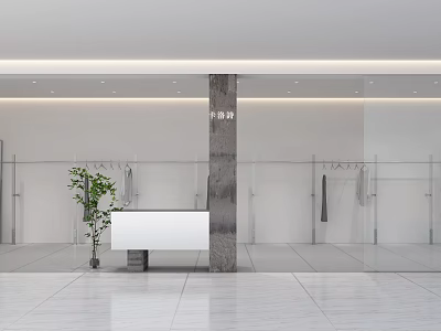 Minimalist Clothing Store With Glass Door White Reception Desk Green Plant And Clothing Racks 3d model