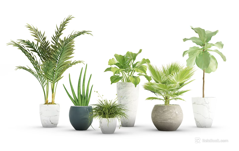 Various Leafy Potted Plants With Different Ceramic And Marble Pots For Indoor Decoration 3d model 