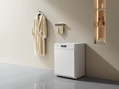 White Washing Machine in Modern Laundry Room with Hanging Robe Towel Rack and Wall Niche 3d model