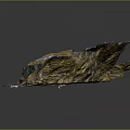 Elongated 3D Terrain Model With Green Yellow Undulating Surface And Coastal Features